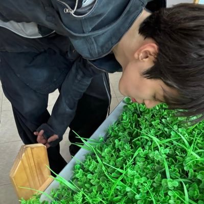 porscheult's profile picture