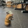 kimani profil fotoğrafı