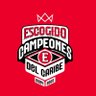 escogidista bicampeón🦁🏆 的头像