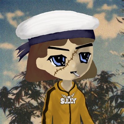 sully's profile picture