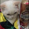 ela profil fotoğrafı