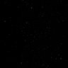 l's profile picture