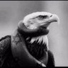 SeeTheTruth1776's profile picture