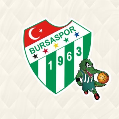 Bursaspor Basketbol's profile picture