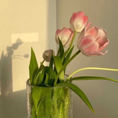 trang doan's profile picture