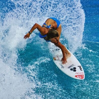 westsouth1234's profile picture