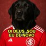 Profilbild von 🇦🇹 Didio FORA BARCELLOS