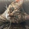 Jak's profile picture
