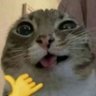 nandeer's profile picture