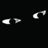Antlerbeast's profile picture