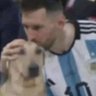 Kyro 🦅's profile picture