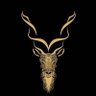Shaz Mallick's profile picture