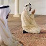 Profilbild von ضَيّ القمر 🌧🇸🇦