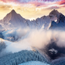 Фото профиля Patrick Fox