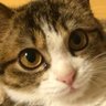 はぢ 的头像
