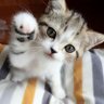 かずさん's profile picture