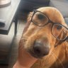 @Izzy4realz's profile picture