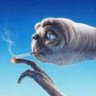 Alien Vicioso's profile picture
