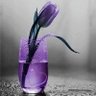 الرضا بالله profil fotoğrafı