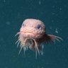 Robby 的头像