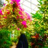 Фото профиля ❥SS
