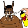 Pauly B's profile picture