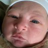 Gus Lo's profile picture