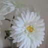Фото профиля ふじゆり