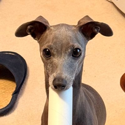 🧦's profile picture