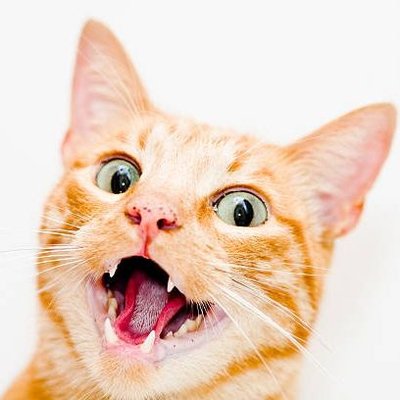 Amma Nanu's profile picture