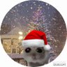 ソラミンチョスー's profile picture