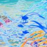 おのり（常時🦑） 的头像