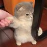 MissingTwins 的头像