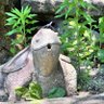 ダボハゼ丸 的头像