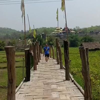 m43241976's profile picture
