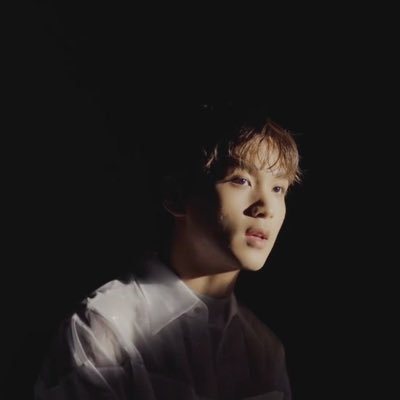 dialektitas's profile picture