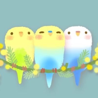 maki🍁🦅🐉☕️🐨📦's profile picture