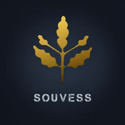 Souvess's profile picture