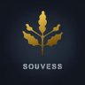 Фото профиля Souvess