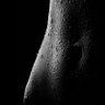 Profilbild von Tee