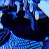 D A L L A S 的头像