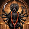 Profilbild von सान्वी ठाकुर