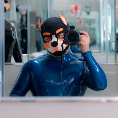 shuaiqiubear's profile picture