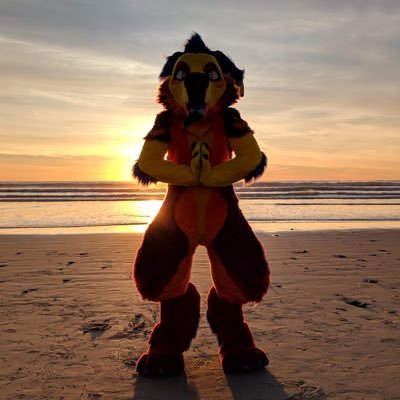 bodoz0's profile picture