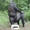. profil fotoğrafı