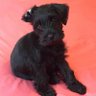 Bella's profile picture