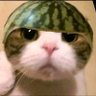 Profilbild von cuka melon