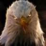 David Milisits's profile picture