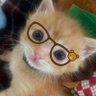 ꧁༒꧂'s profile picture
