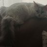 JCV7 profil fotoğrafı